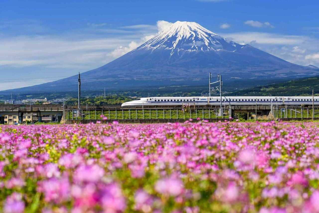 tour-osaka-04 https://www.glampinghosts.com/wp-content/uploads/2018/09/tour-osaka-04-1280x854.jpg